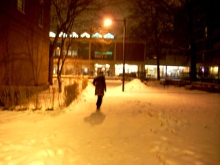 dscn20771 Snoow!