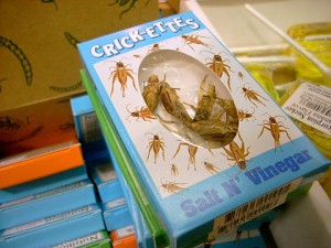 Mmm, crickets.