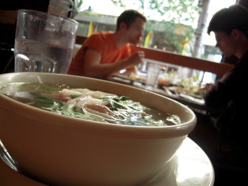 dscn0513 dscn0513