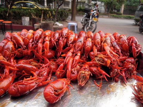 A better quality photograph of those strange little crayfish creatures - look for a GoodEater.org blog post soon!