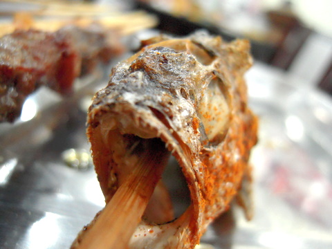 fish on a stick
