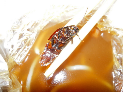 dscn1699