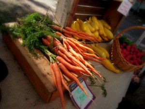 Photos of the Day: Harvard Yard Farmer’s Market