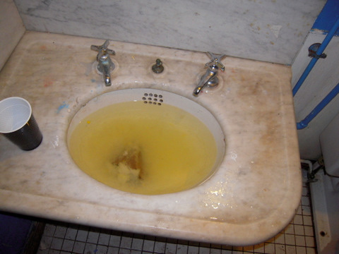 dscn4151 dscn4151
